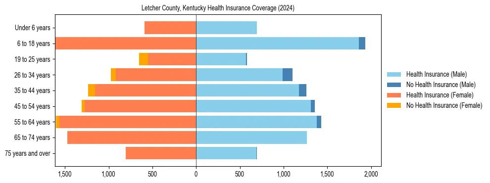 Health insurance pyramid for Letcher County, Kentucky