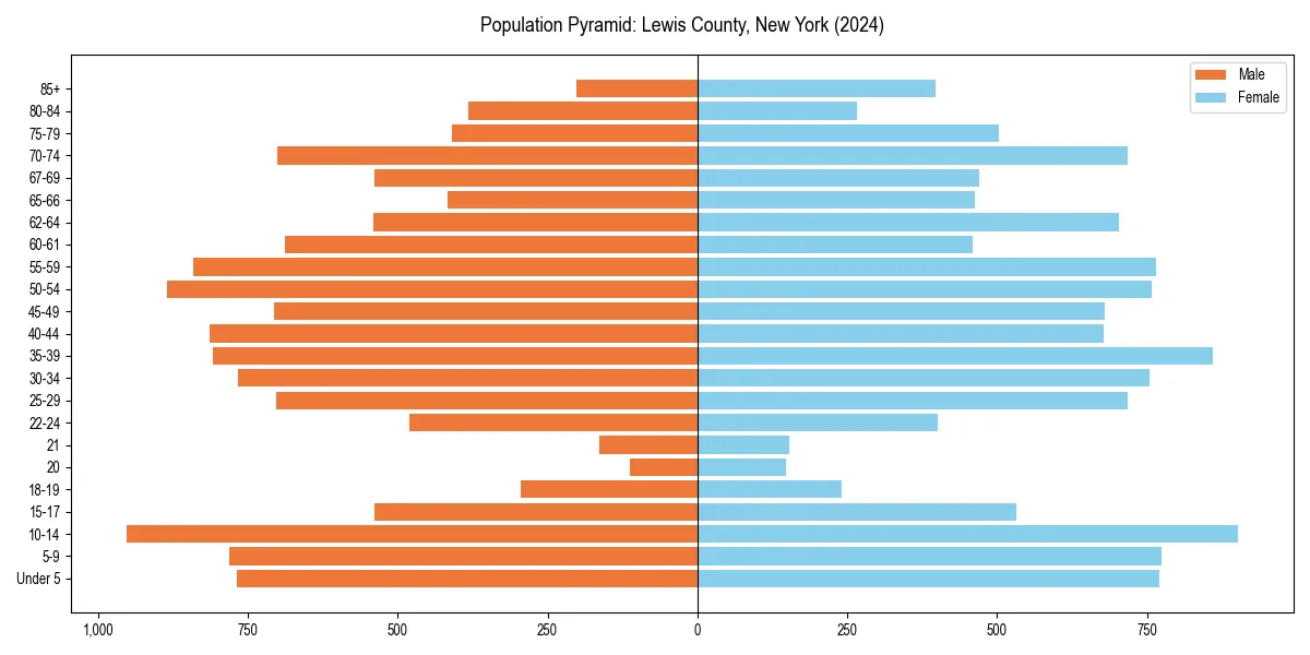 Population pyramid for 