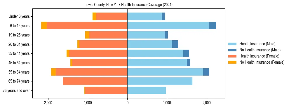 Health insurance pyramid for Lewis County, New York
