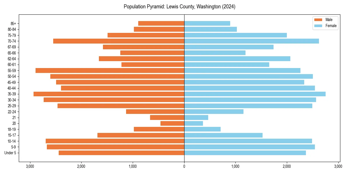 Population pyramid for 