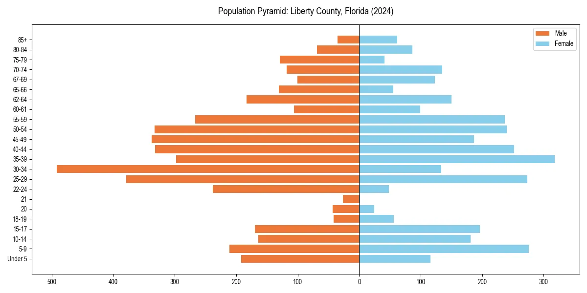 Population pyramid for 