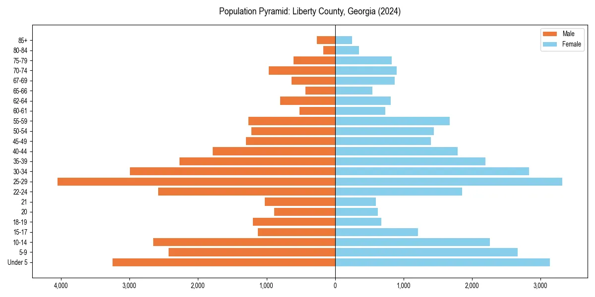 Population pyramid for 
