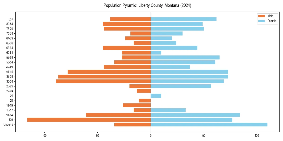 Population pyramid for 
