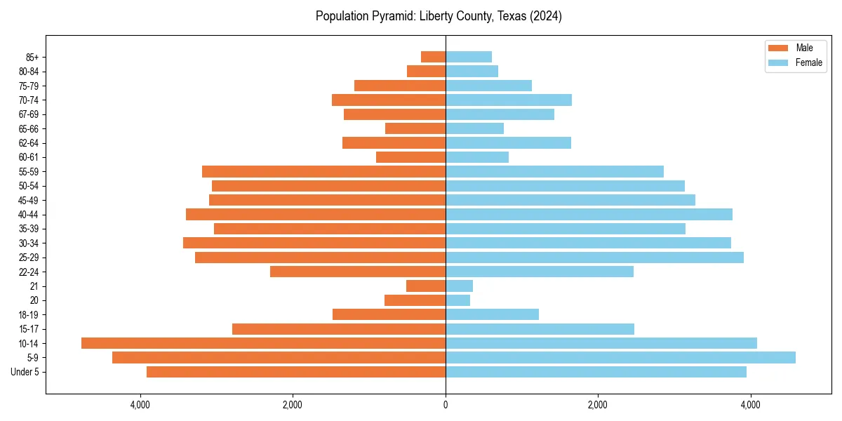 Population pyramid for 