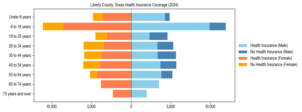 Health insurance pyramid for Liberty County, Texas
