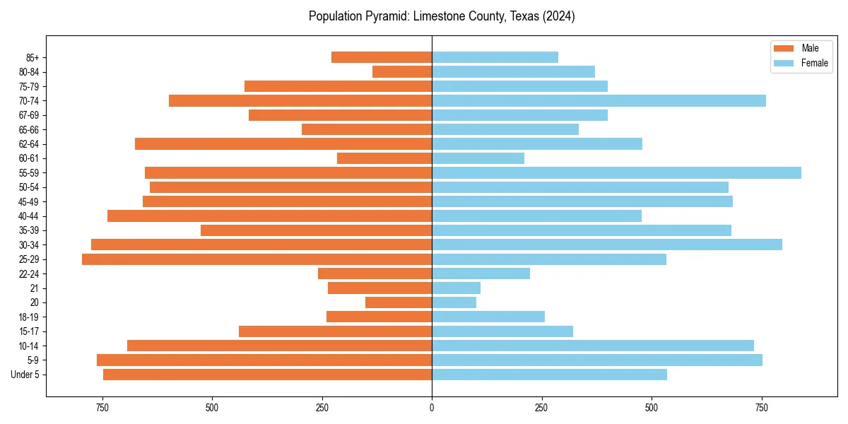 Population pyramid for 