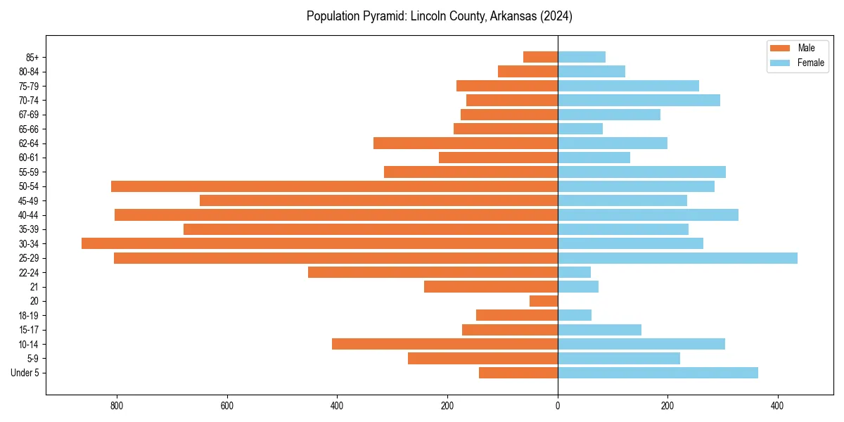 Population pyramid for 