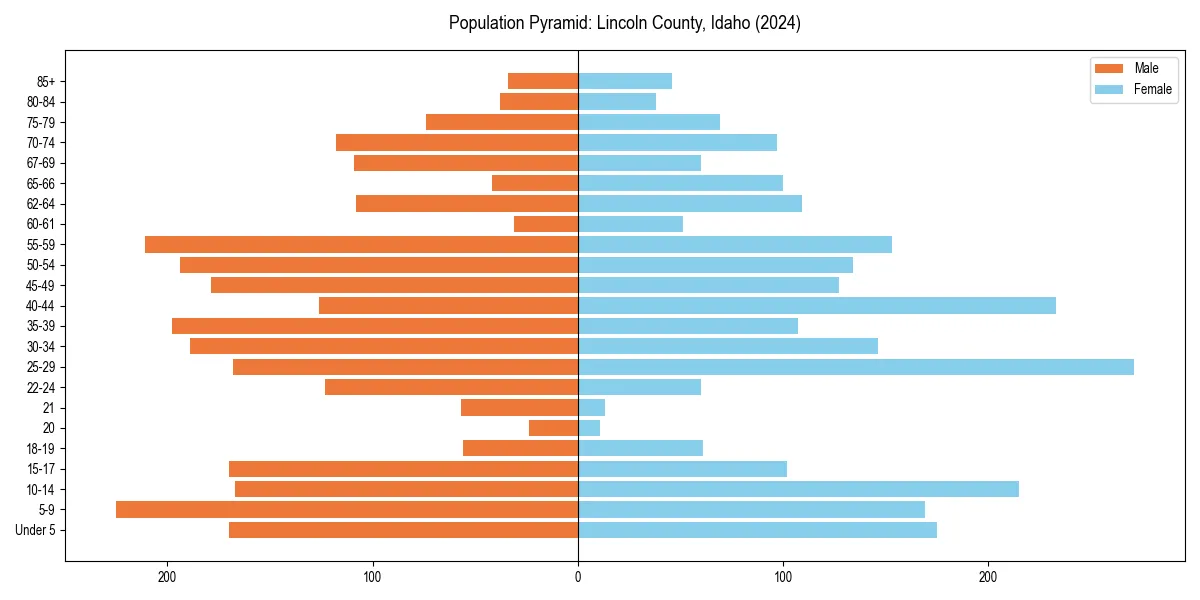 Population pyramid for 