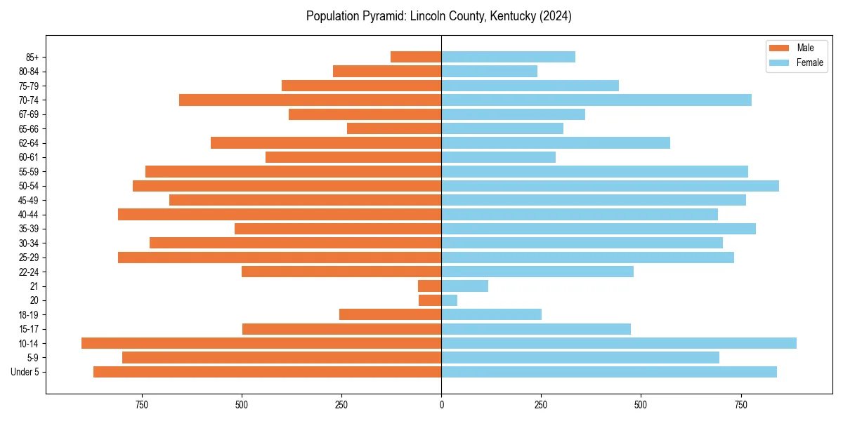 Population pyramid for 