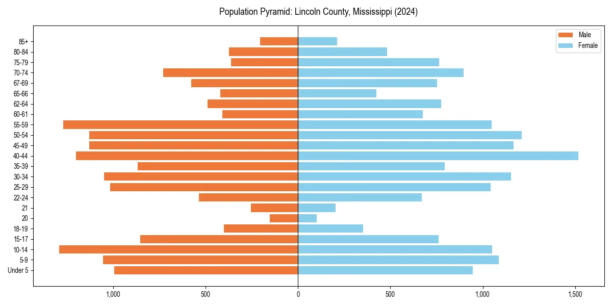 Population pyramid for 