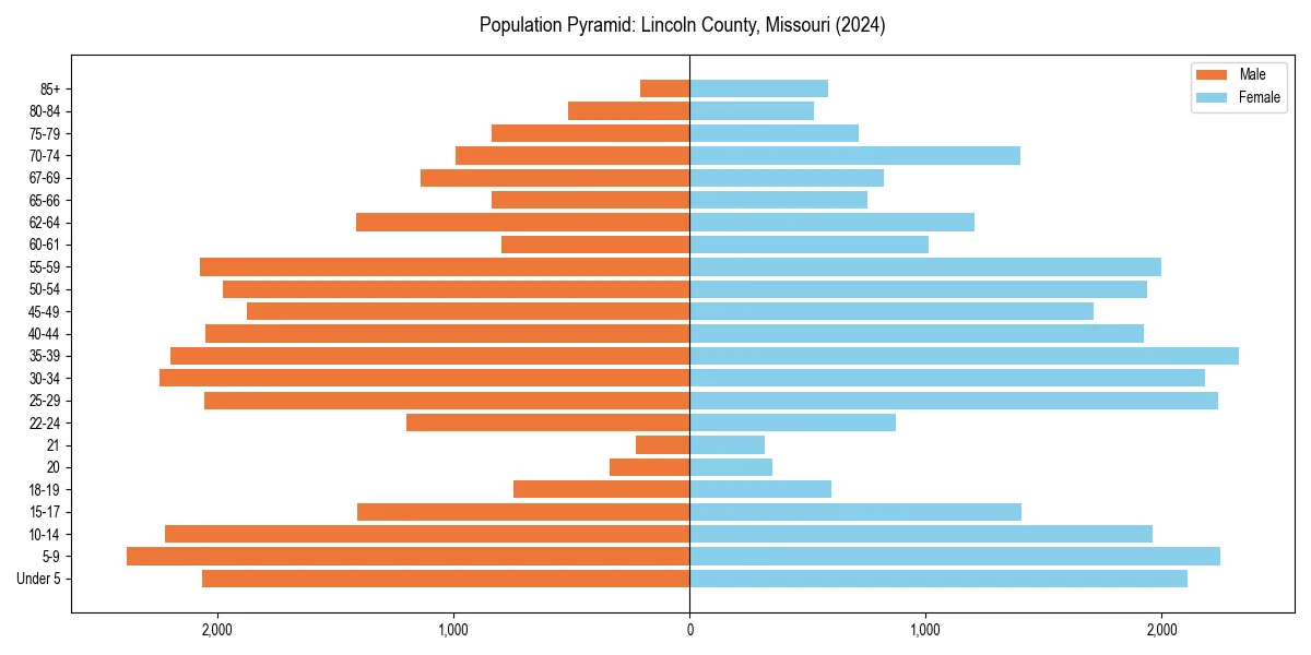 Population pyramid for 