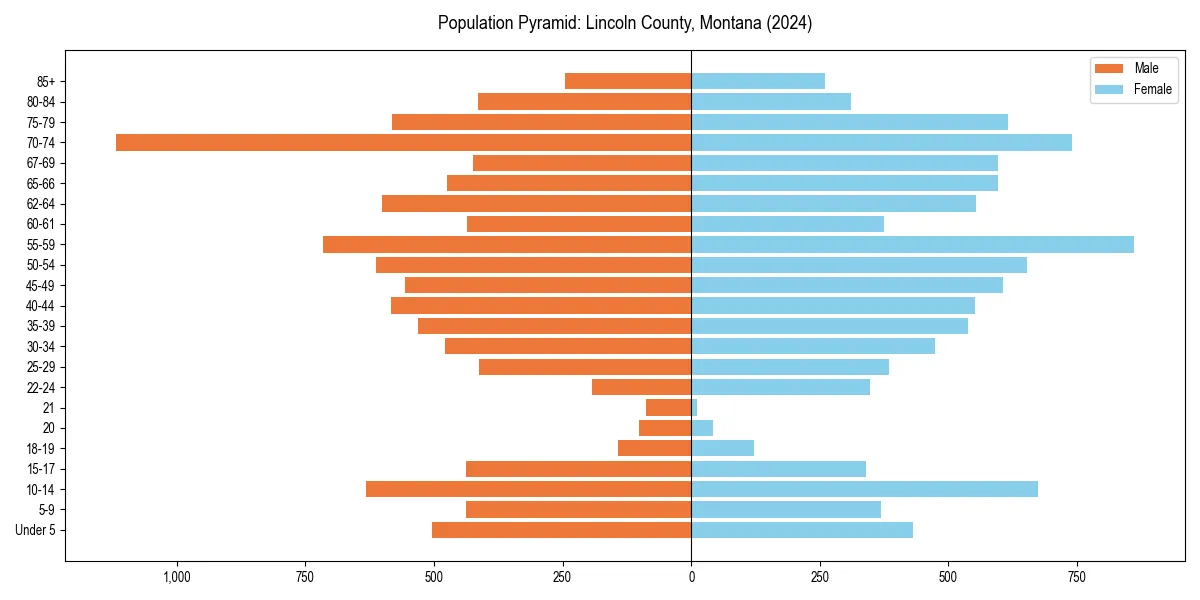 Population pyramid for 