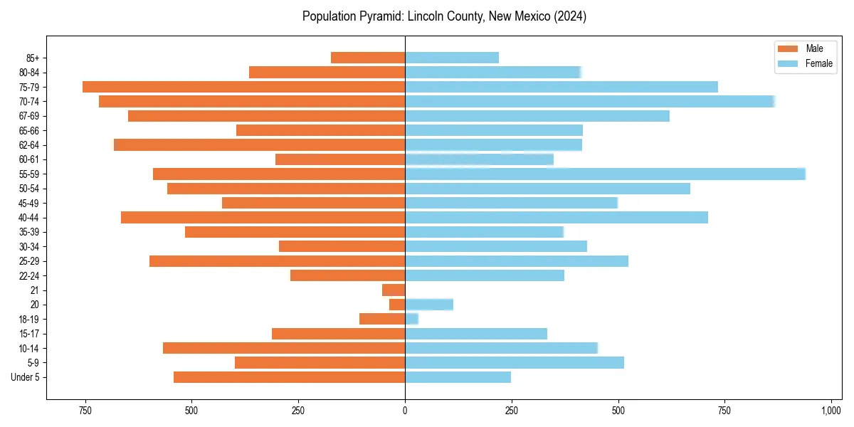 Population pyramid for 