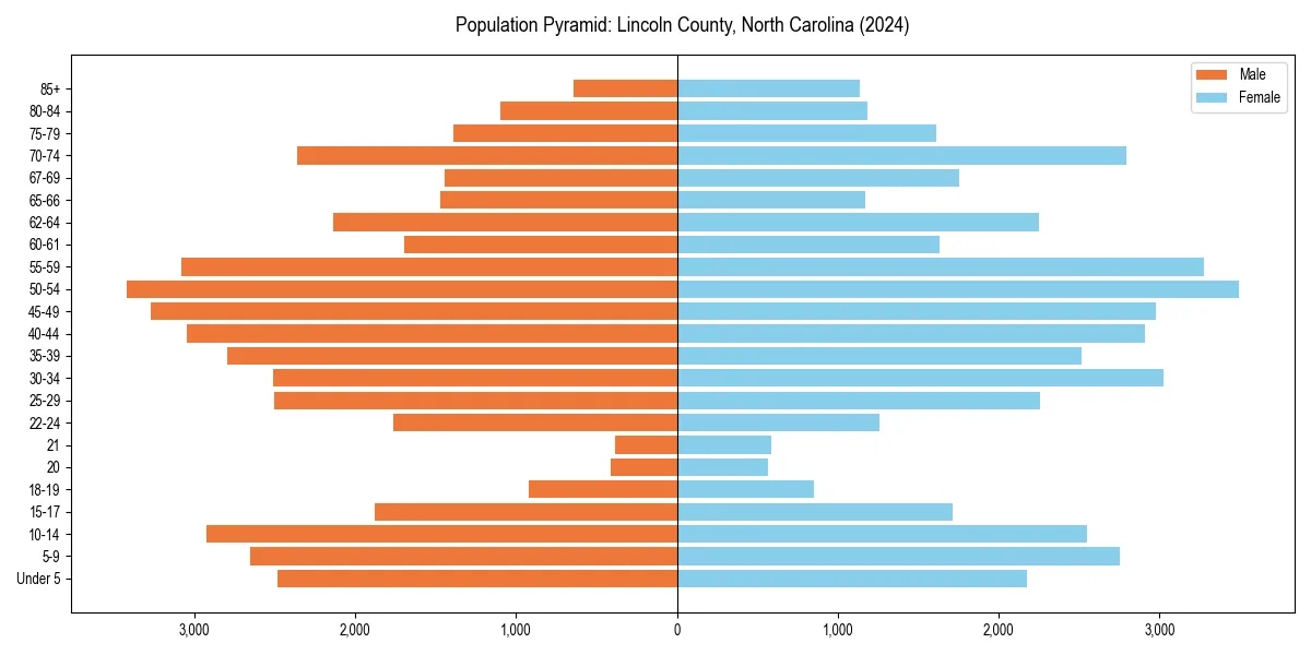 Population pyramid for 