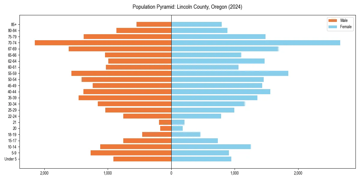 Population pyramid for 