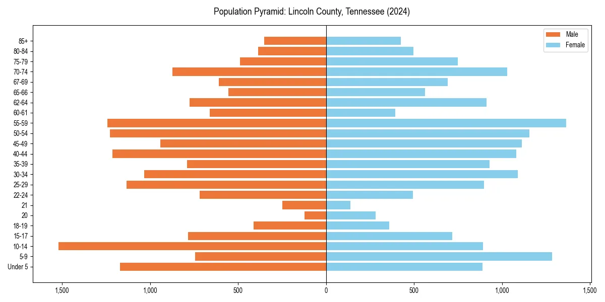 Population pyramid for 