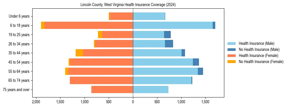Health insurance pyramid for Lincoln County, West Virginia