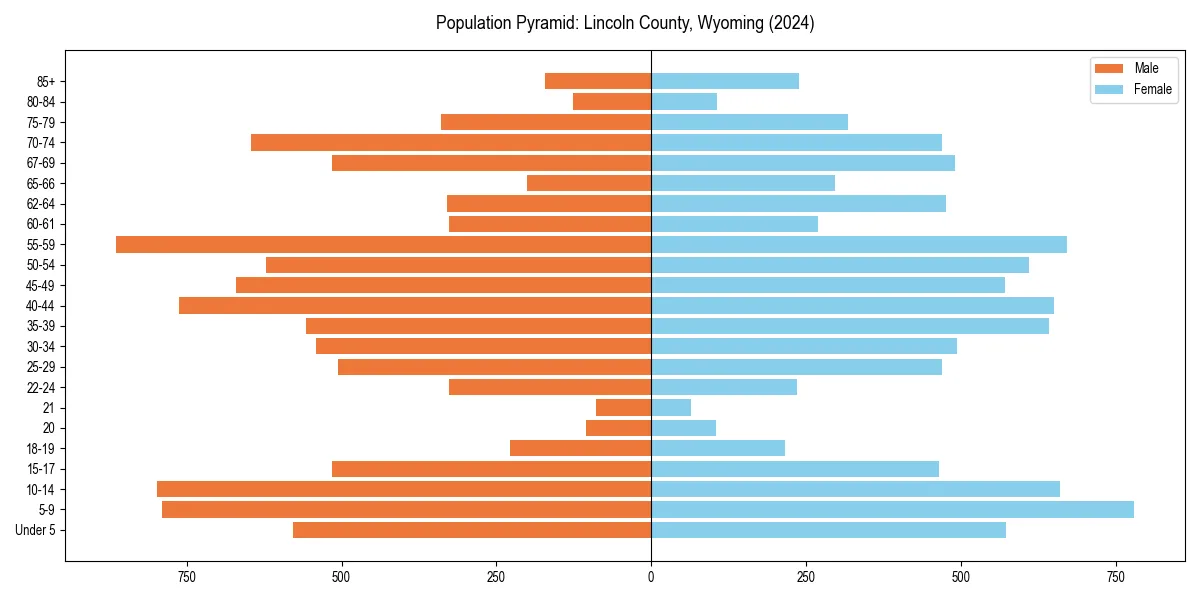 Population pyramid for 