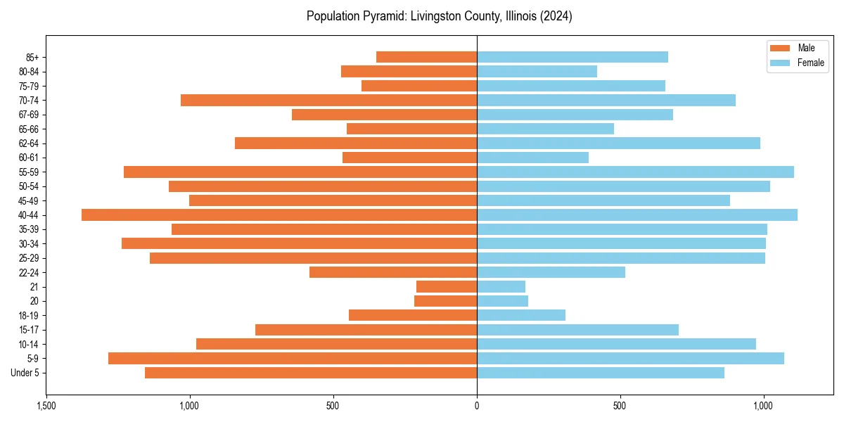 Population pyramid for 