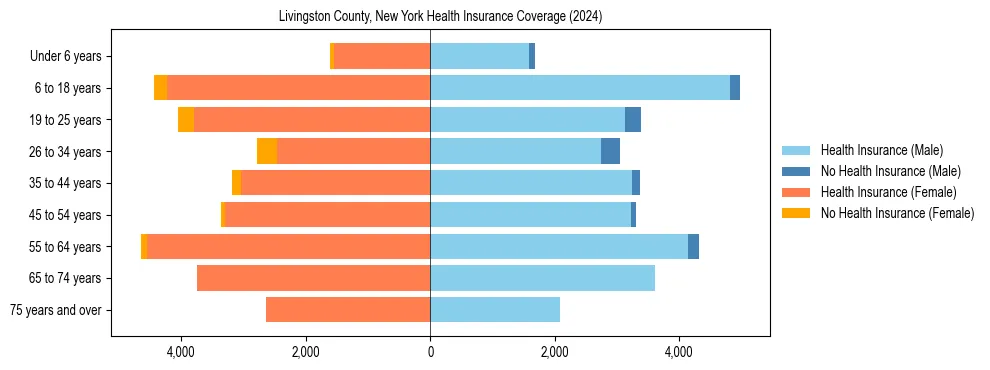 Health insurance pyramid for Livingston County, New York