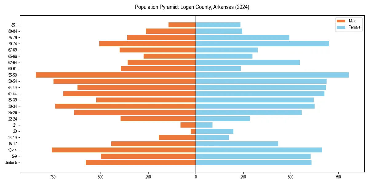 Population pyramid for 