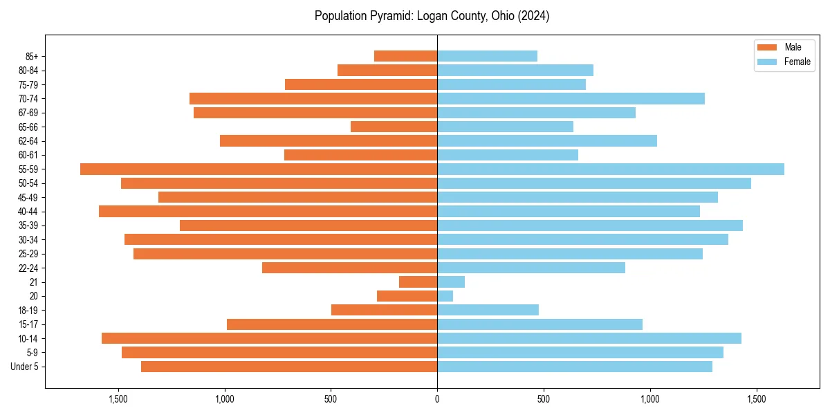Population pyramid for 