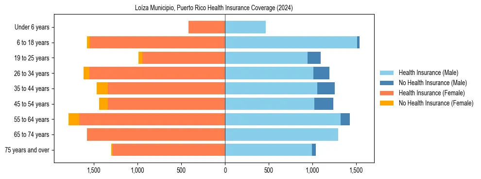 Health insurance pyramid for Loíza Municipio, Puerto Rico