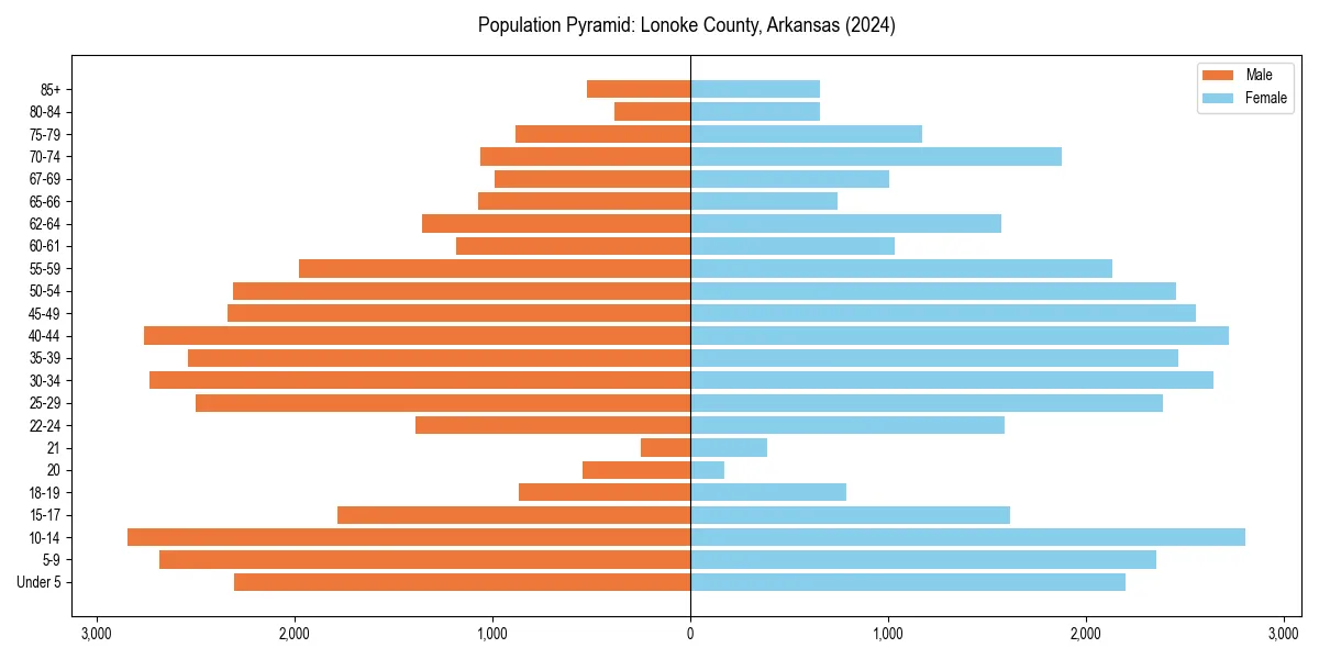 Population pyramid for 