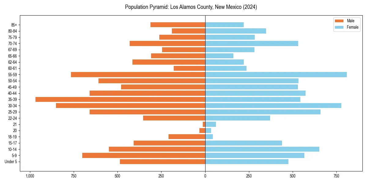 Population pyramid for 