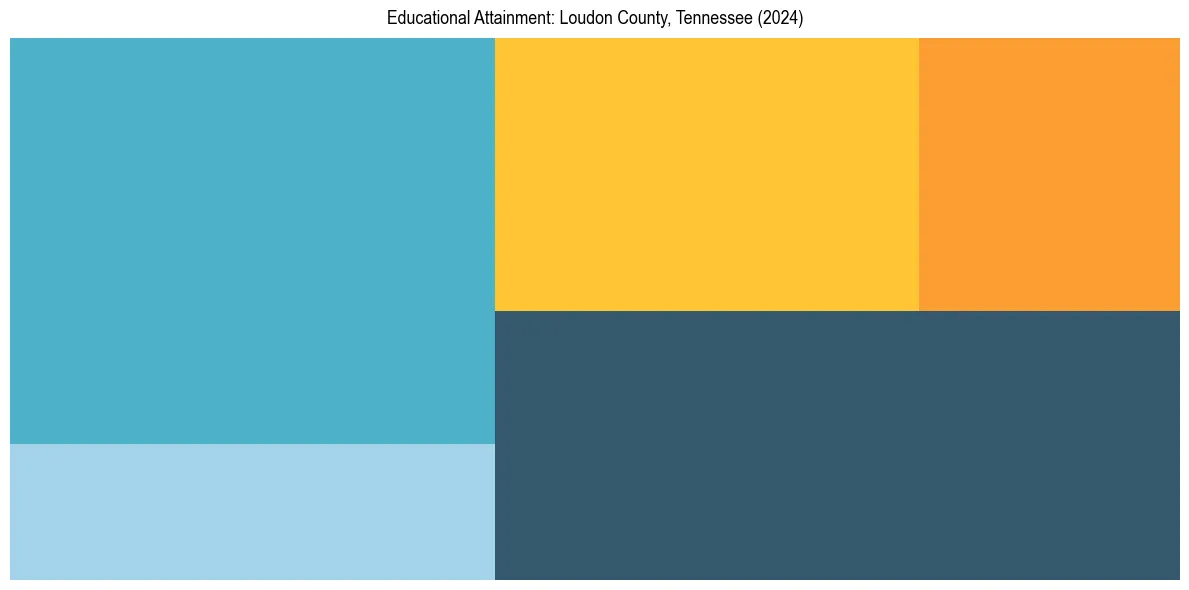 Education Treemap for  in 2024