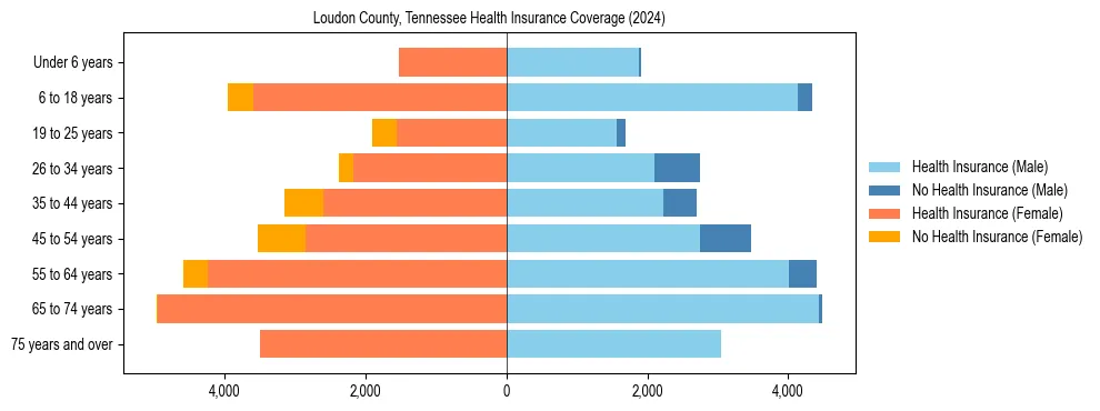Health insurance pyramid for Loudon County, Tennessee
