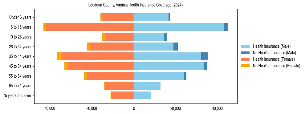 Health insurance pyramid for Loudoun County, Virginia