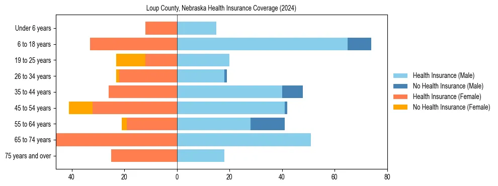 Health insurance pyramid for Loup County, Nebraska