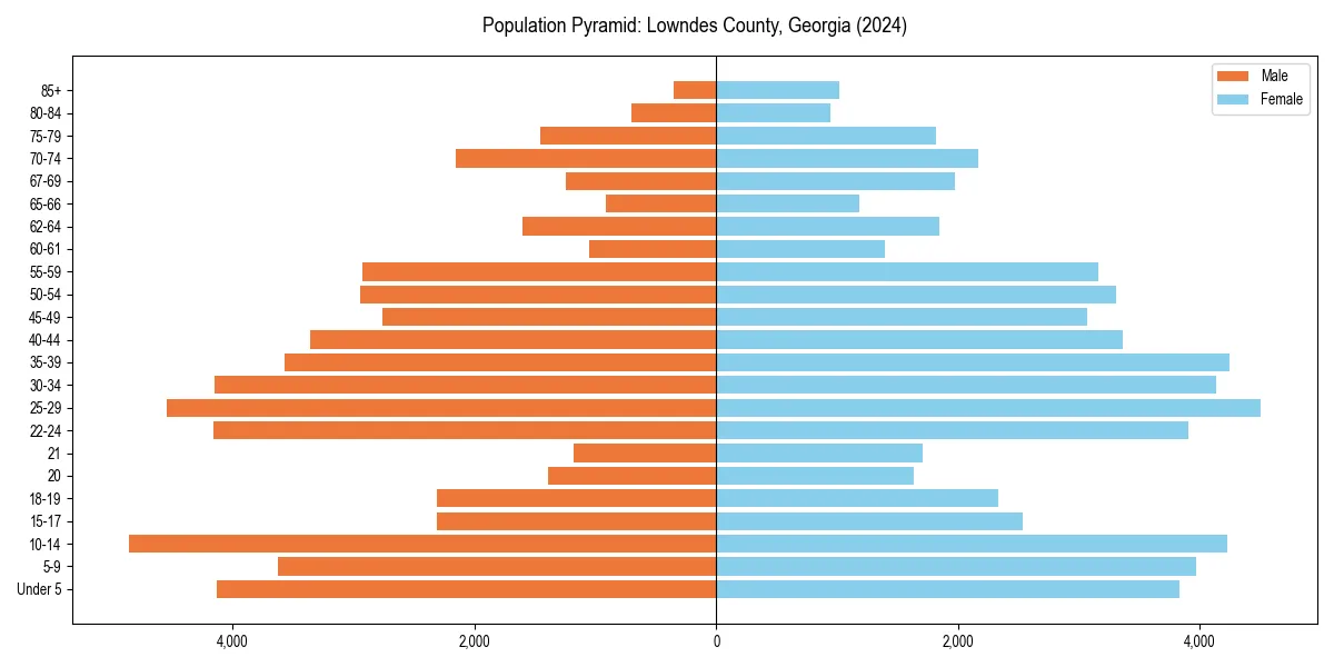 Population pyramid for 