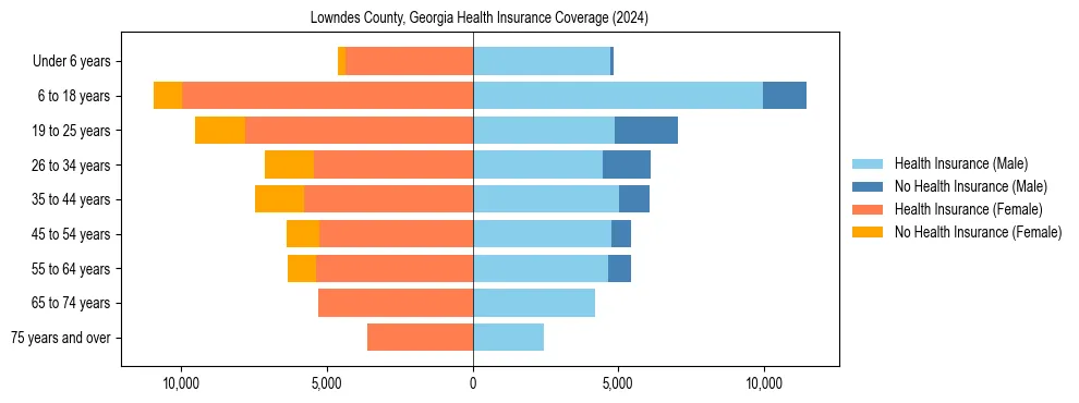 Health insurance pyramid for Lowndes County, Georgia