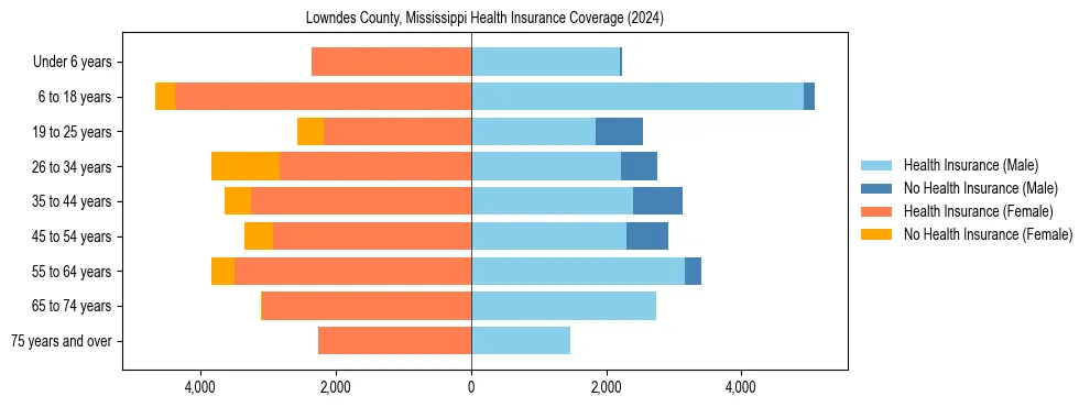 Health insurance pyramid for Lowndes County, Mississippi