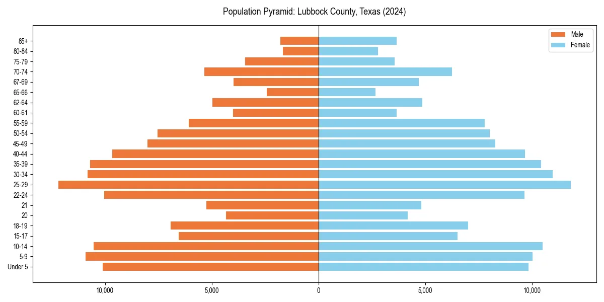 Population pyramid for 