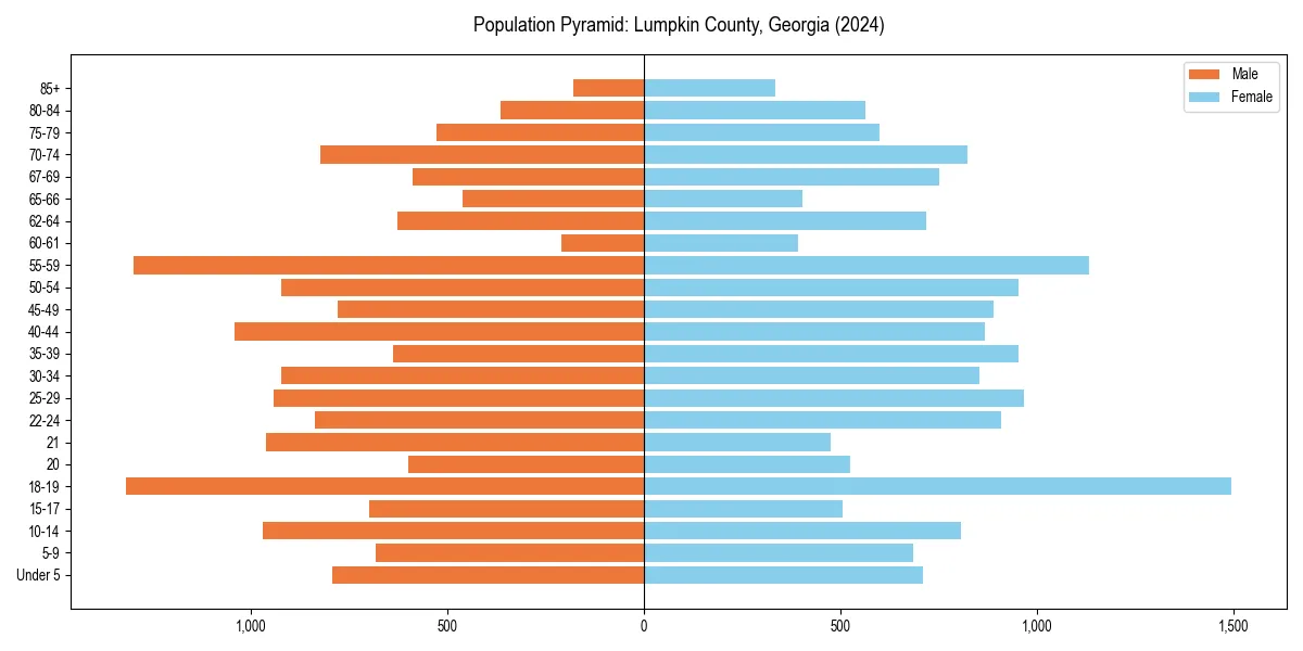 Population pyramid for 