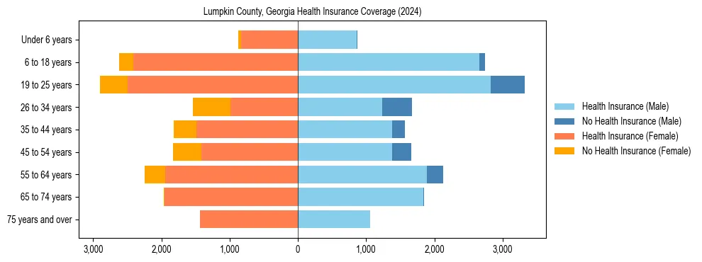 Health insurance pyramid for Lumpkin County, Georgia