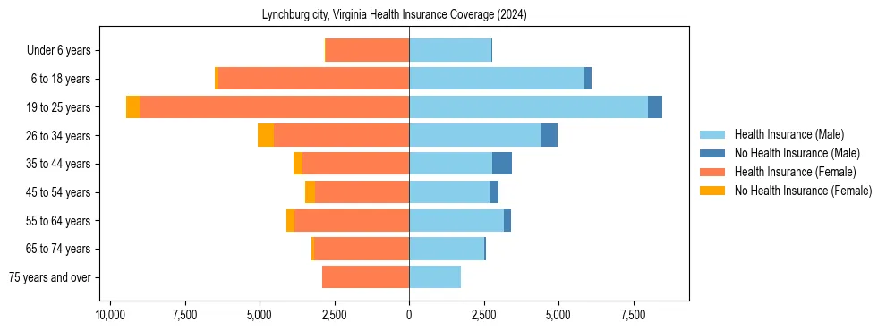 Health insurance pyramid for Lynchburg city, Virginia
