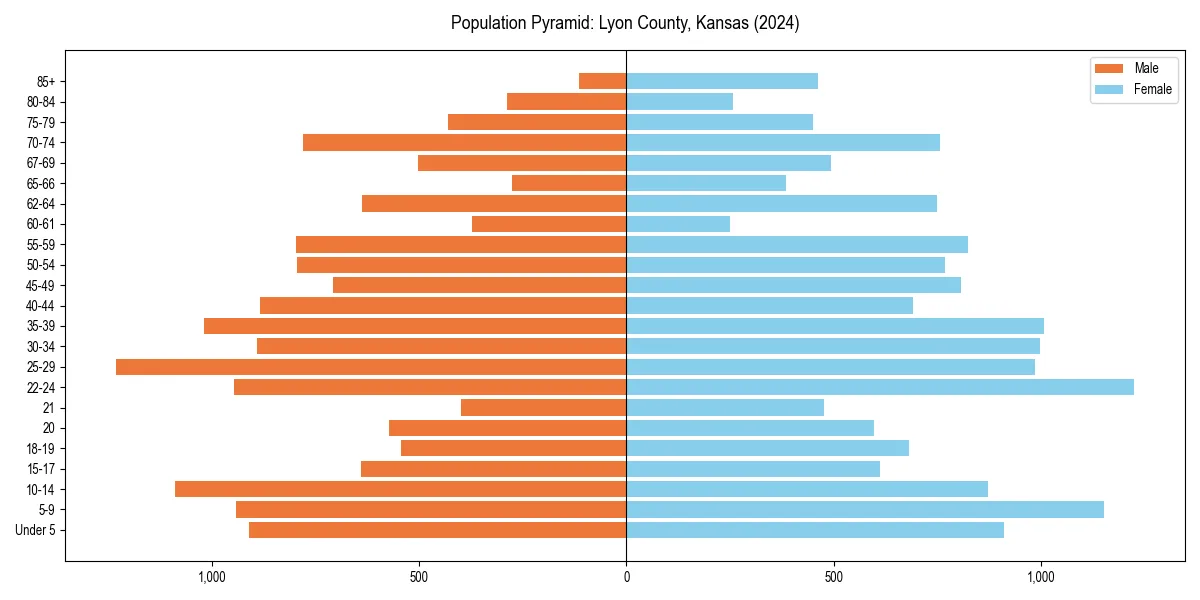 Population pyramid for 