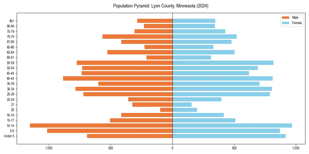 Population pyramid for 