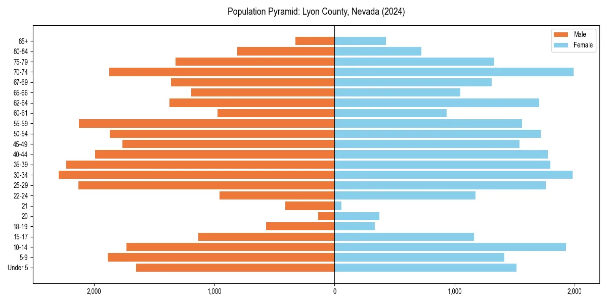 Population pyramid for 