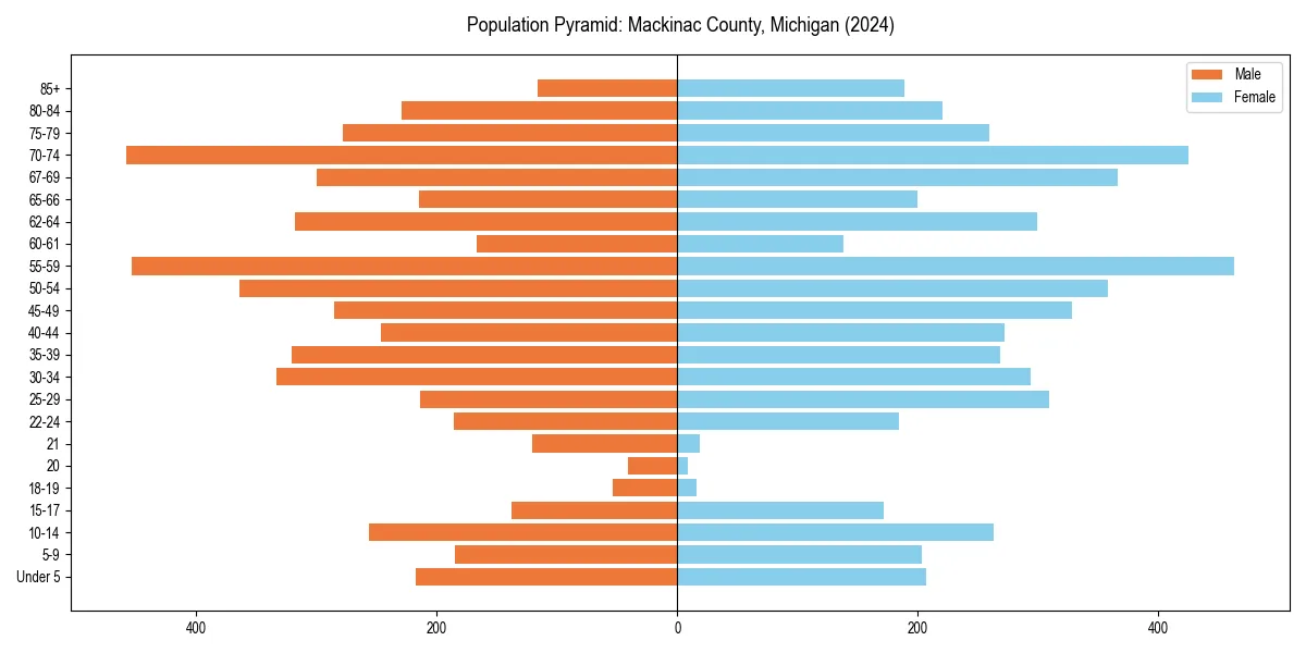 Population pyramid for 