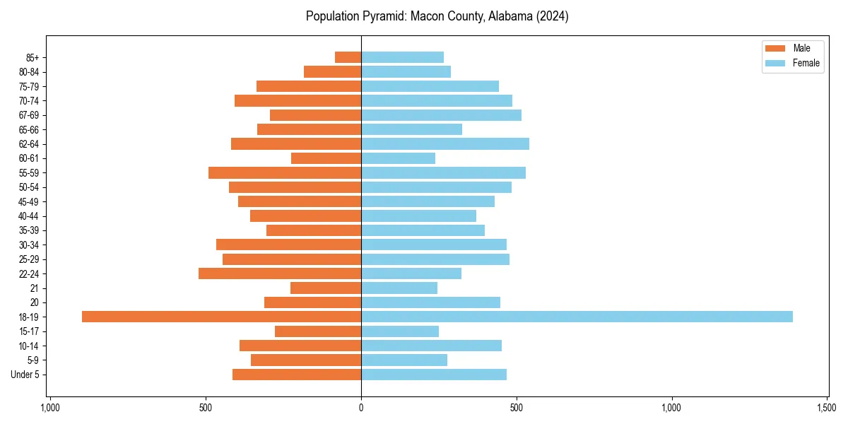 Population pyramid for 
