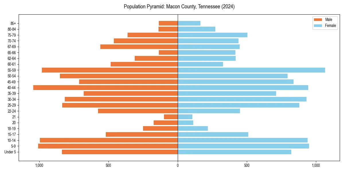 Population pyramid for 