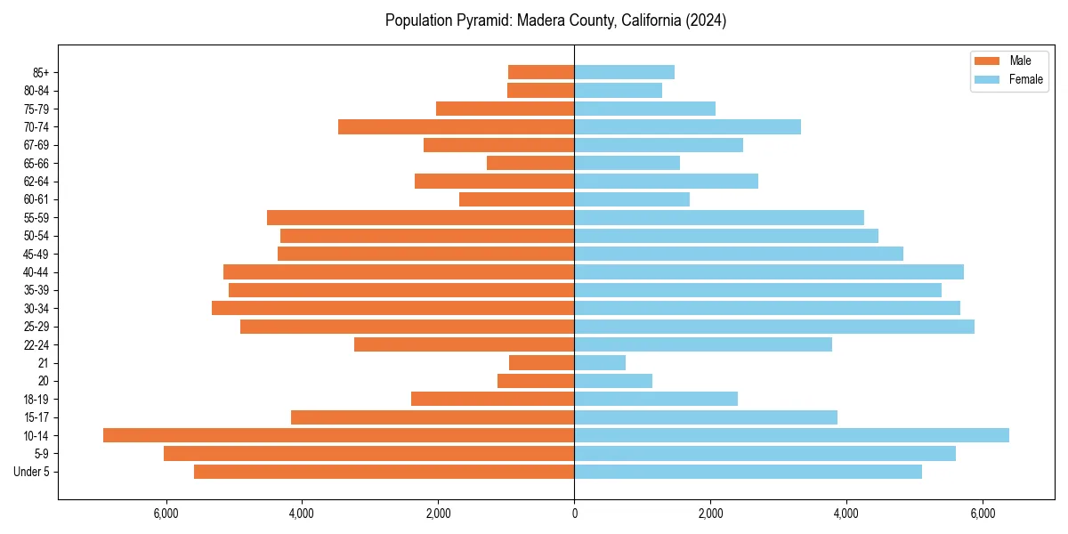 Population pyramid for 