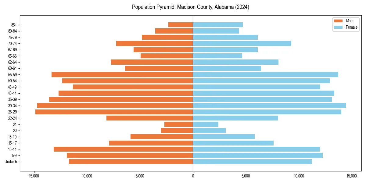 Population pyramid for 