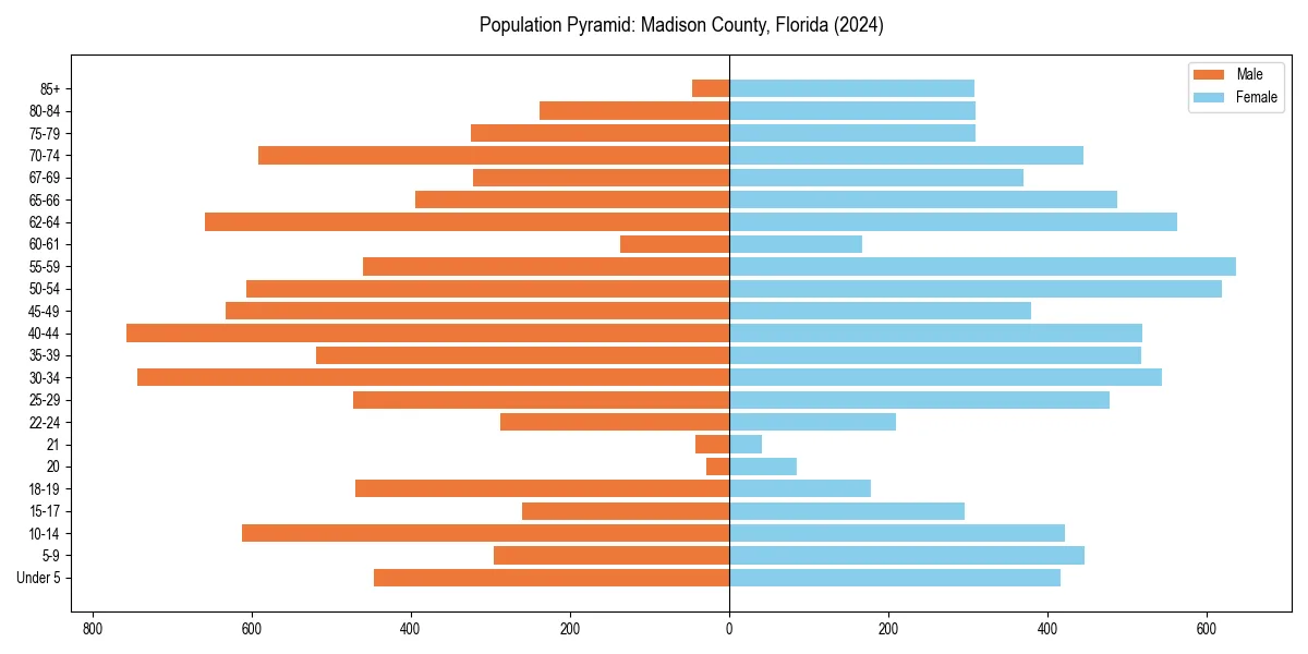 Population pyramid for 