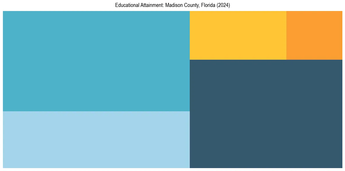 Education Treemap for  in 2024